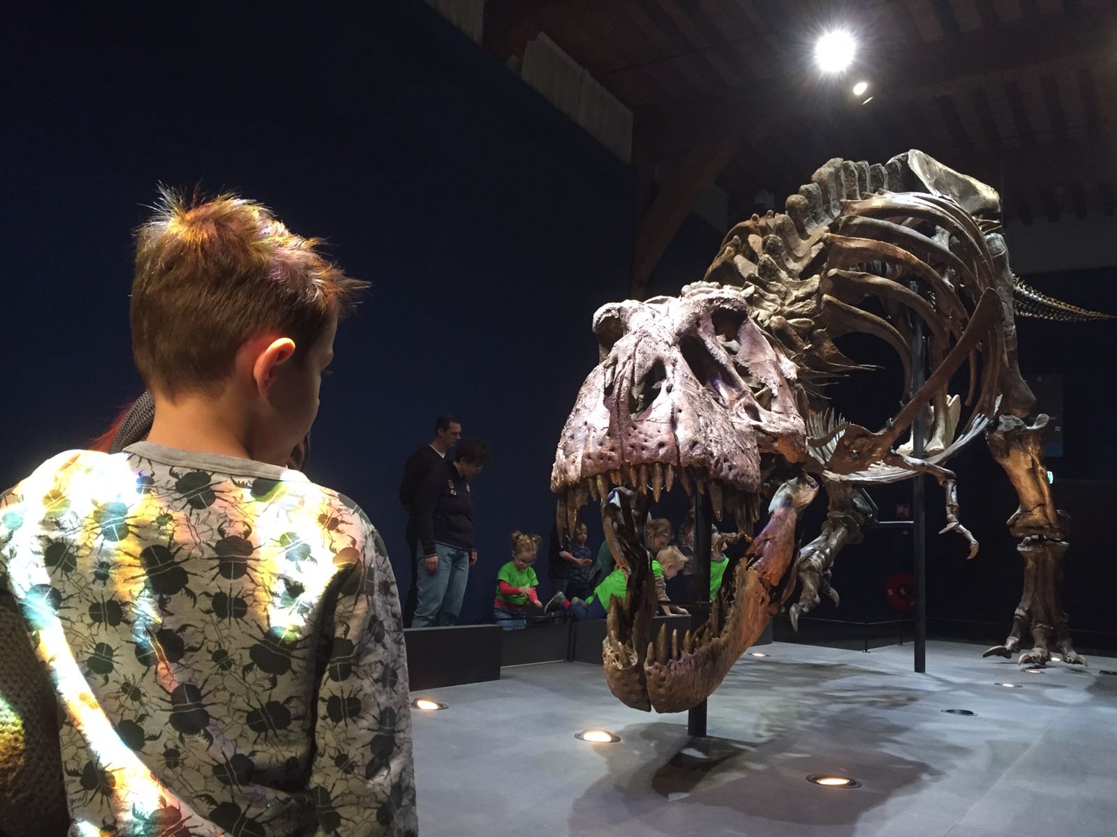 sam-t-rex-trix-naturalis.jpg