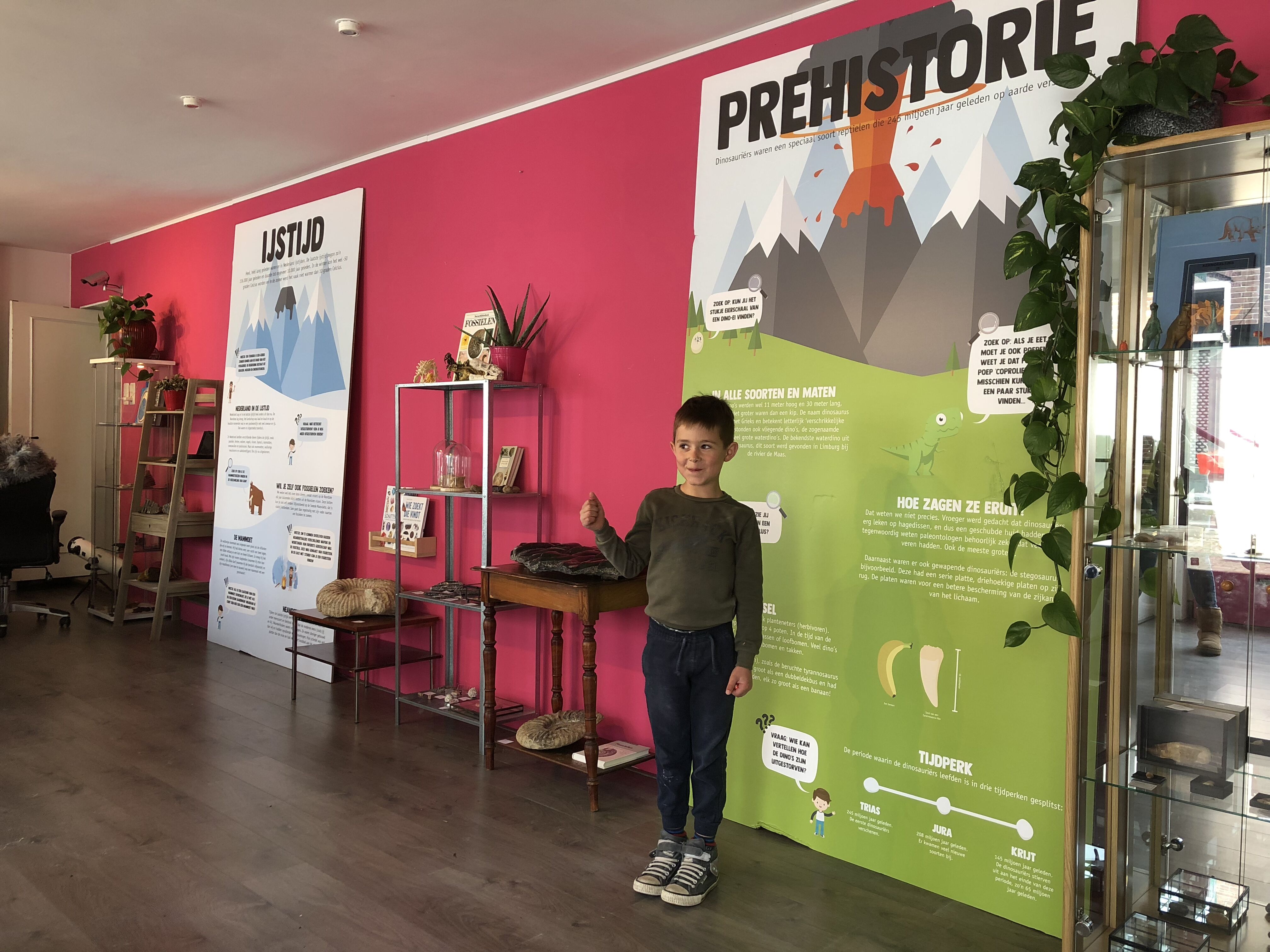 sams-natuurhistorisch-museum2.jpeg